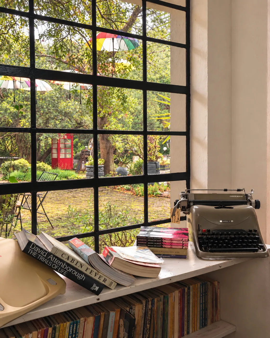 Books and a typewriter beside the garden window